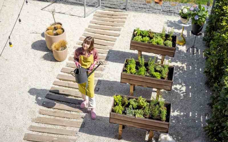Wykorzystanie roślin do zapełniania pustych przestrzeni w chodnikach, schodach oraz murkach