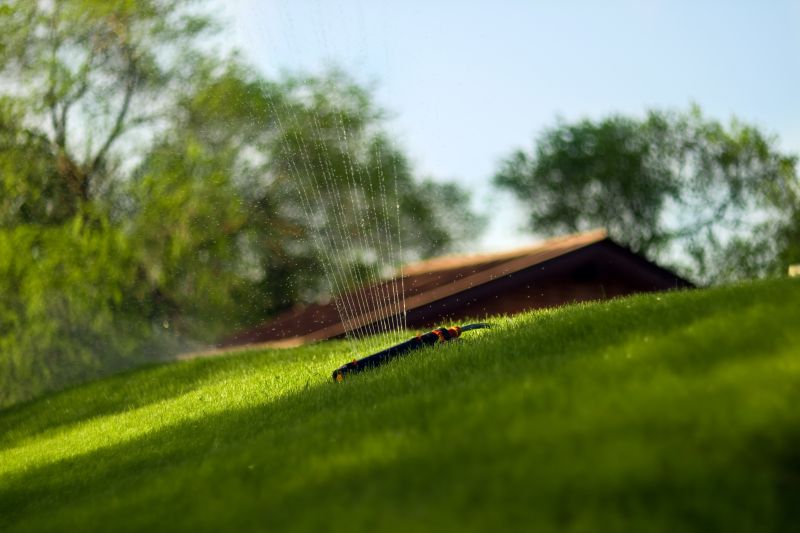 Wskazówki dotyczące automatycznego podlewania trawy