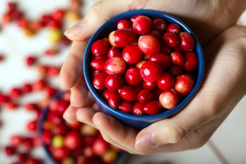 Cudowne właściwości żurawiny i jej wpływ na zdrowie