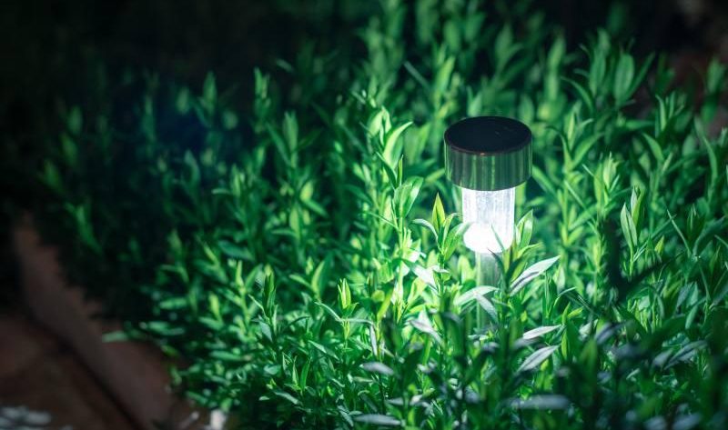 Wybór lamp solarnych do ogrodu, balkonu i tarasu - co warto wiedzieć?