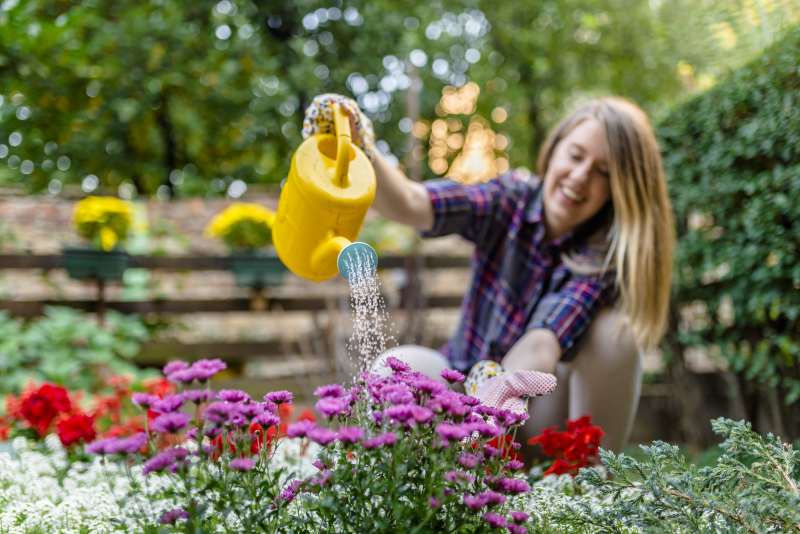 Ciemierniki w ogrodzie - rodzaje, pielęgnacja i metody rozmnażania tych roślin